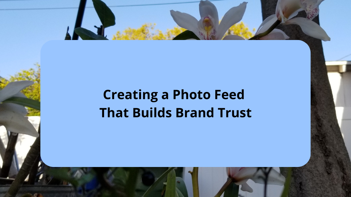 Creating a Photo Feed That Builds Brand Trust