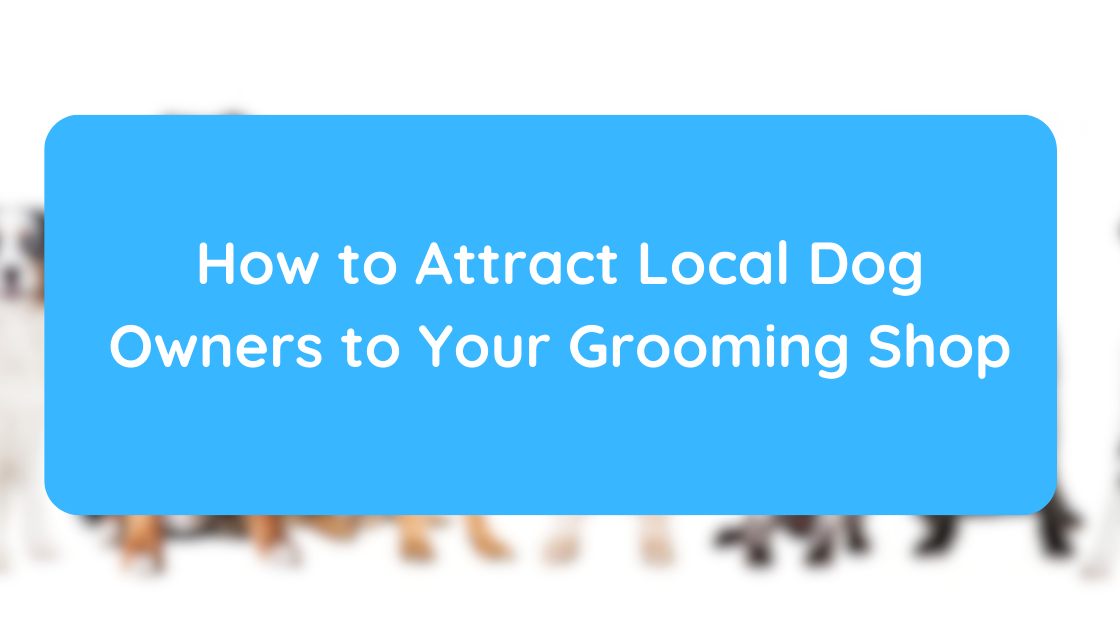 How to Attract Local Dog Owners to Your Grooming Shop