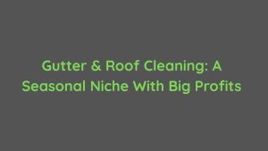 Gutter & Roof Cleaning A Seasonal Niche With Big Profits