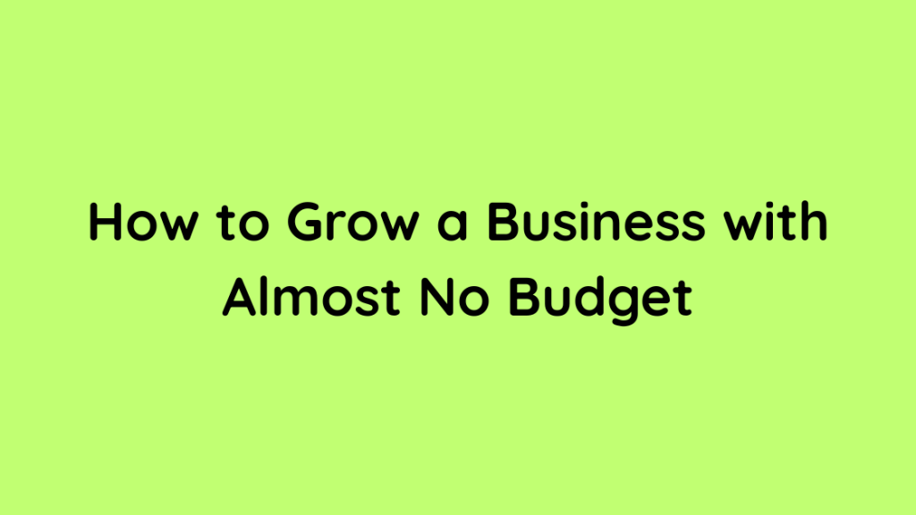 How to Grow a Business with Almost No Budget