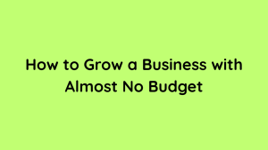 How to Grow a Business with Almost No Budget