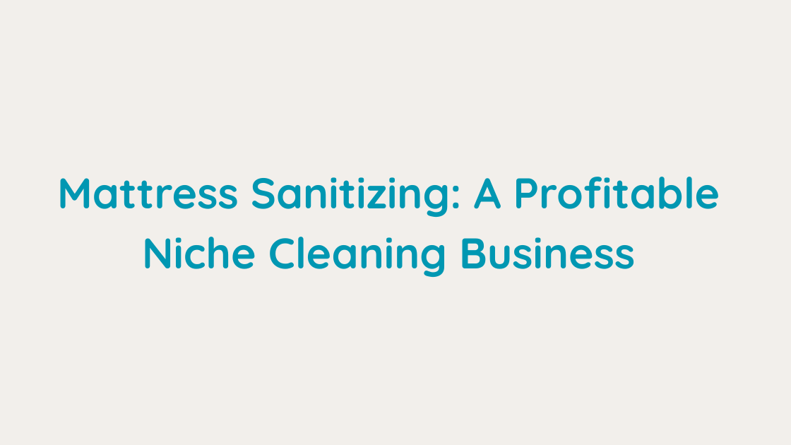 Mattress Sanitizing A Profitable Niche Cleaning Business