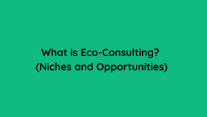 What is Eco-Consulting (Niches and Opportunities)