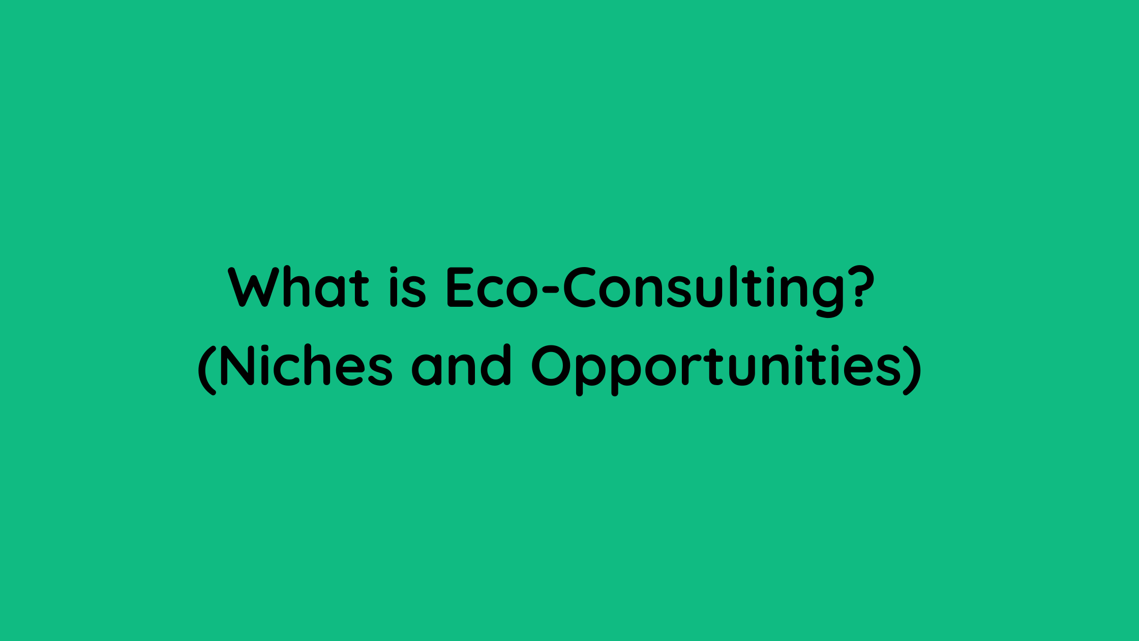 What is Eco-Consulting (Niches and Opportunities)