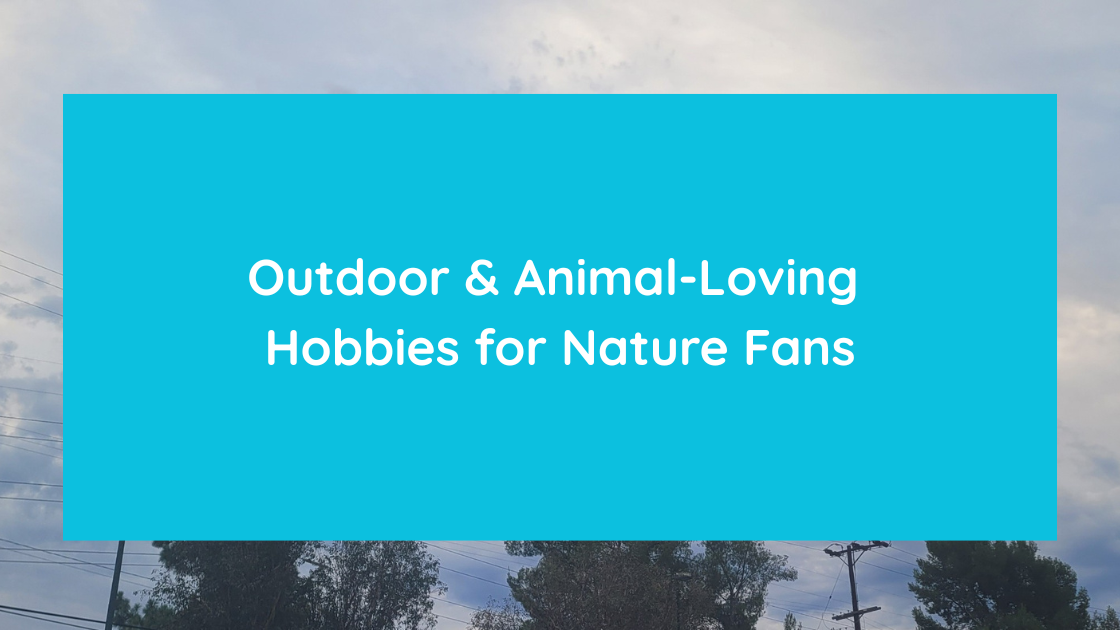 Outdoor & Animal-Loving Hobbies for Nature Fans