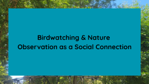 Birdwatching & Nature Observation as a Social Connection