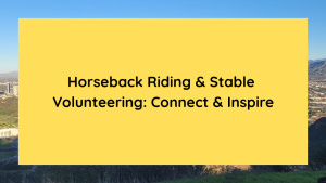 Horseback Riding & Stable Volunteering Connect & Inspire