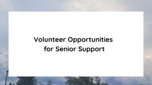 Volunteer Opportunities for Senior Support