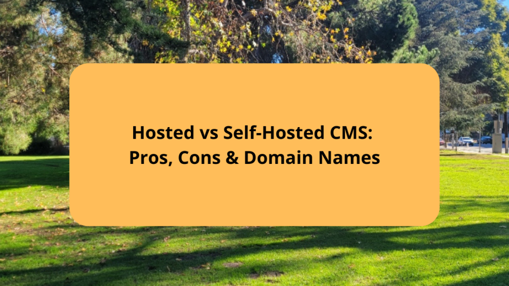 Hosted vs Self-Hosted CMS Pros, Cons & Domain Names