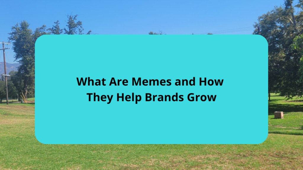 What Are Memes and How They Help Brands Grow