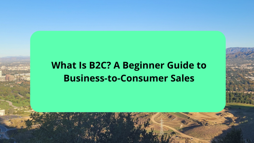 What Is B2C A Beginner Guide to Business-to-Consumer Sales
