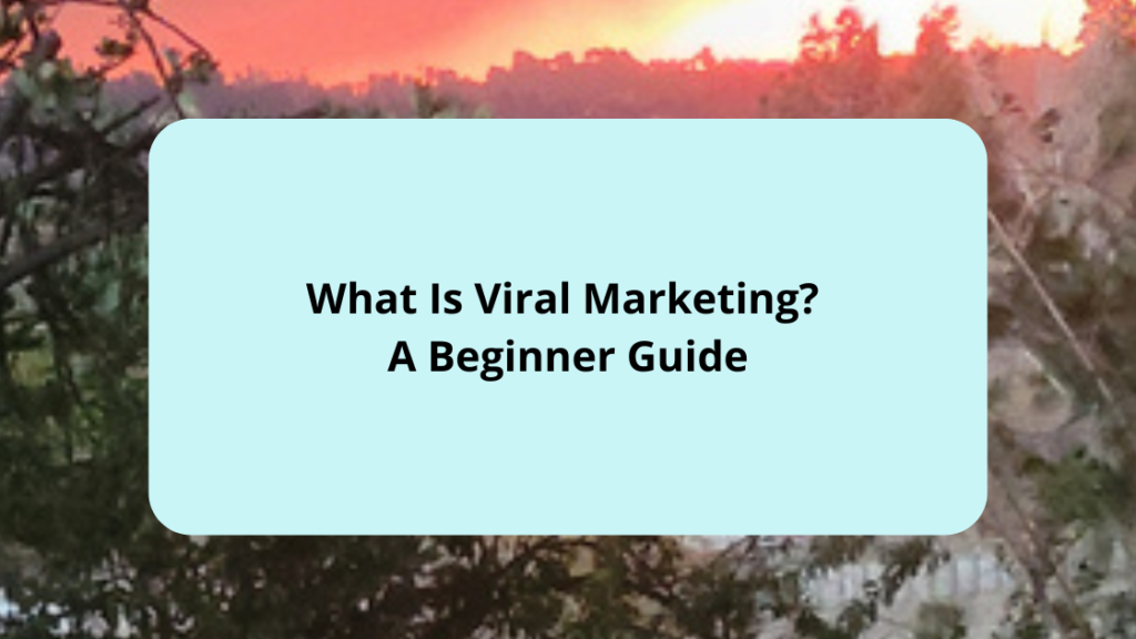 What Is Viral Marketing A Beginner Guide