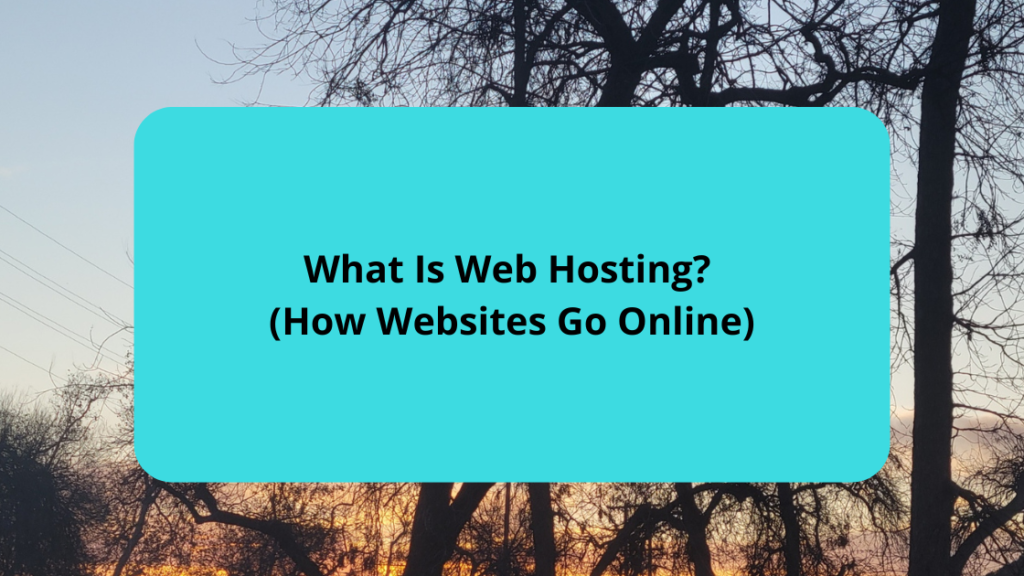 What Is Web Hosting (How Websites Go Online)